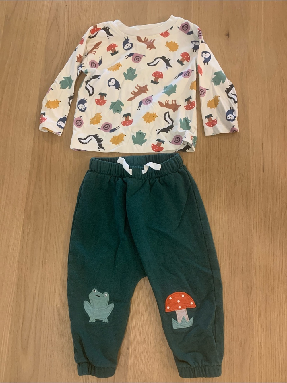Hanna Andersson Woodland creatures long sleeves shirt/sweat pants *100% Cotton*